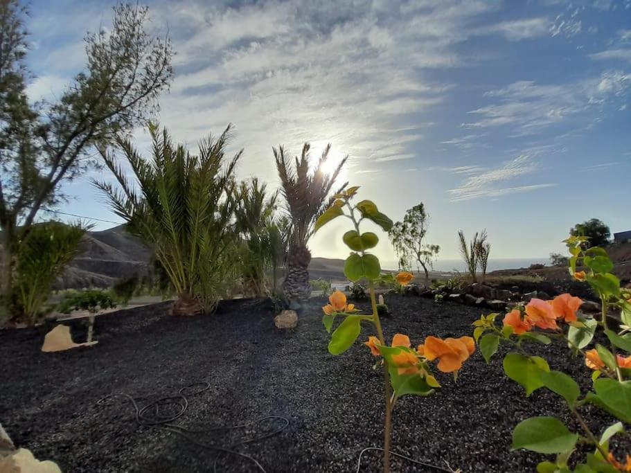 فيلا Casagrande Sunset II - Fuerteventura - Costa Calma Pájara المظهر الخارجي الصورة